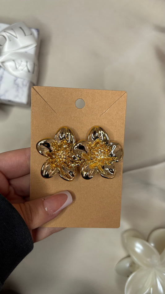 Boucle d’oreilles Insaf